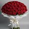 Букет 101 Красная роза Блэк Мэджик в Ростове