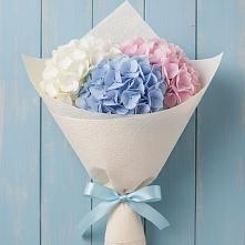 Букет цветов из:  Гортензия в Ростове