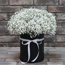 Композиция коробка гипсофил в Ростове Цветочная композиция из Гипсофила в шляпной коробке в Ростове